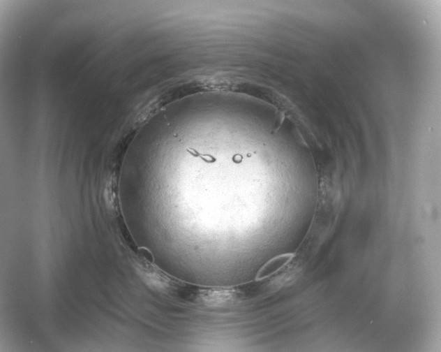 X0000054360671200508051530