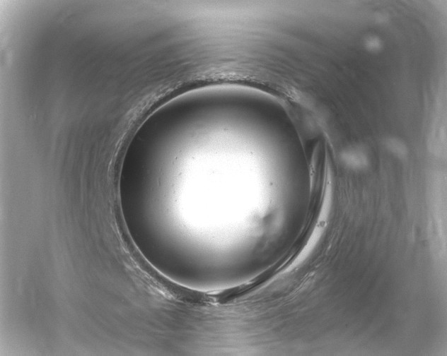 X0000054360673200508051530