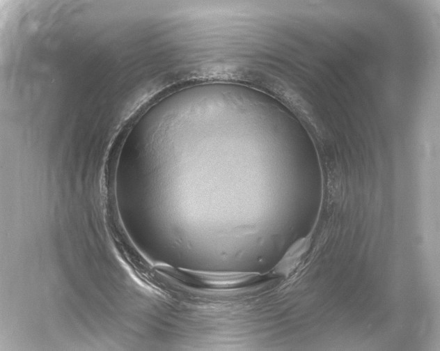 X0000054360674200508051530