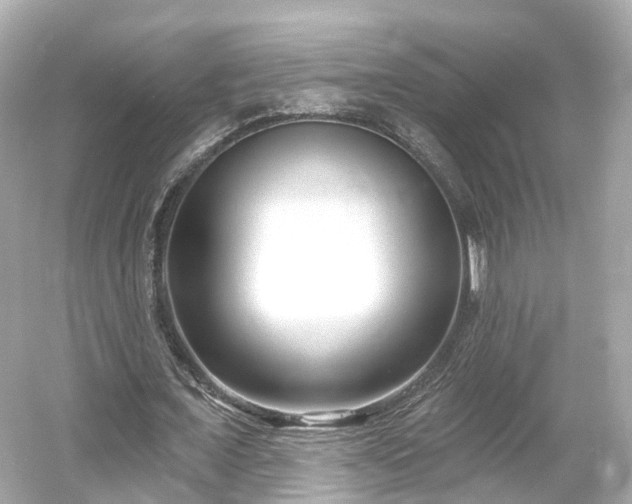 X0000054360675200508051530