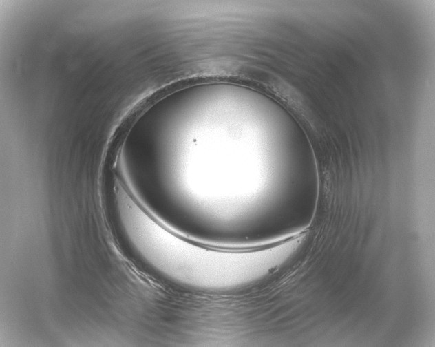 X0000054360676200508051530