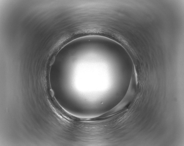X0000054360677200508051530