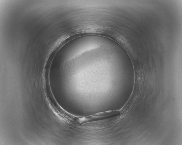X0000054360678200508051530
