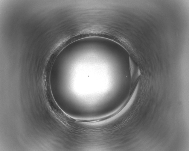 X0000054360680200508051530
