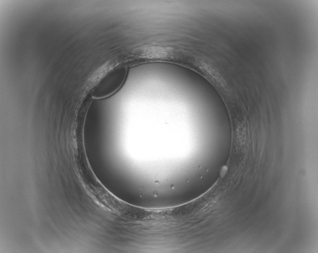 X0000054360682200508051530
