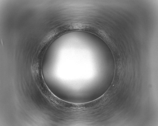 X0000054360683200508051530