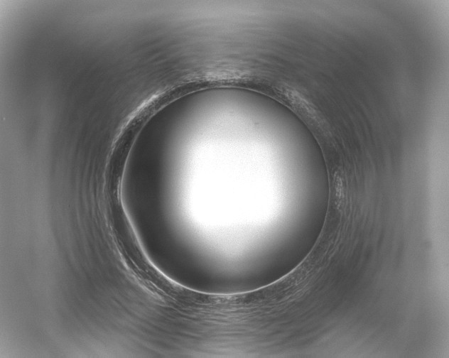 X0000054360684200508051529