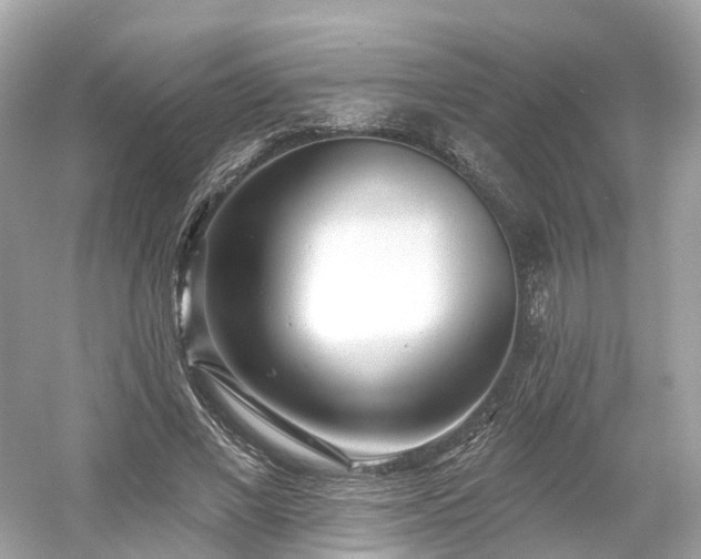 X0000054360685200508051529