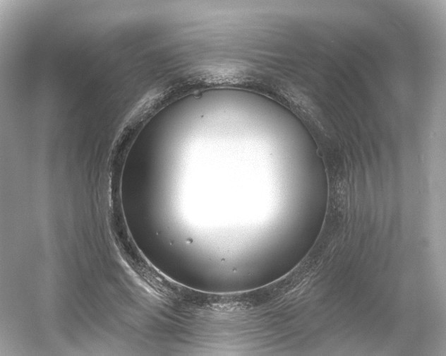 X0000054360686200508051529