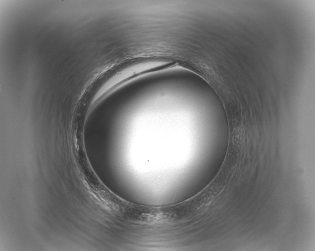 X0000054360688200508051529