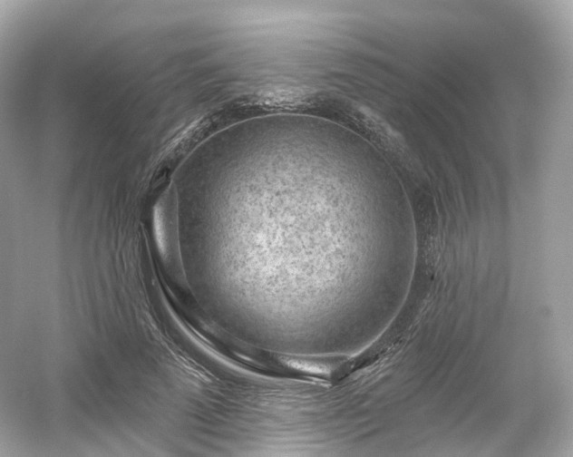 X0000054360689200508051529
