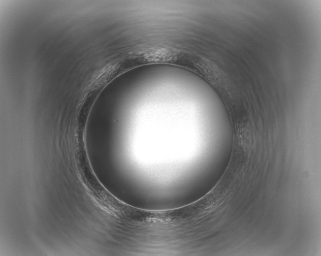 X0000054360690200508051529