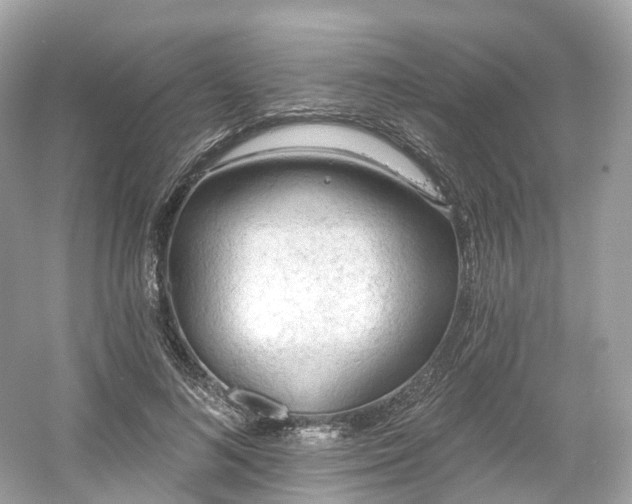X0000054360692200508051529