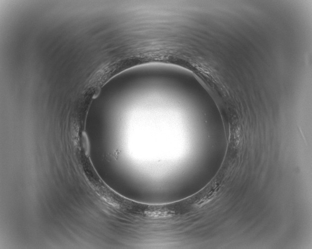 X0000054360693200508051529