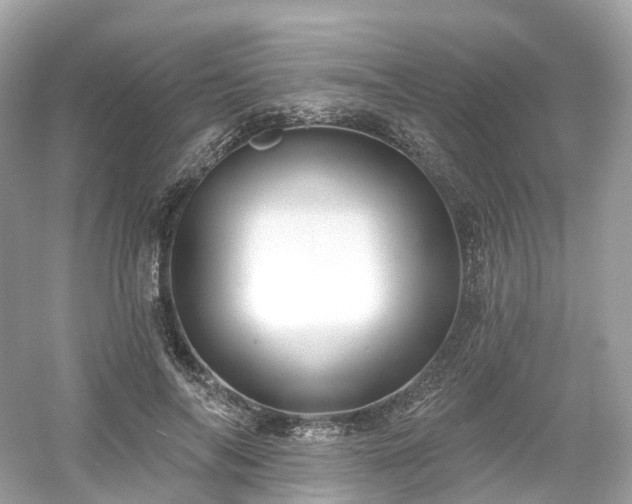 X0000054360694200508051529