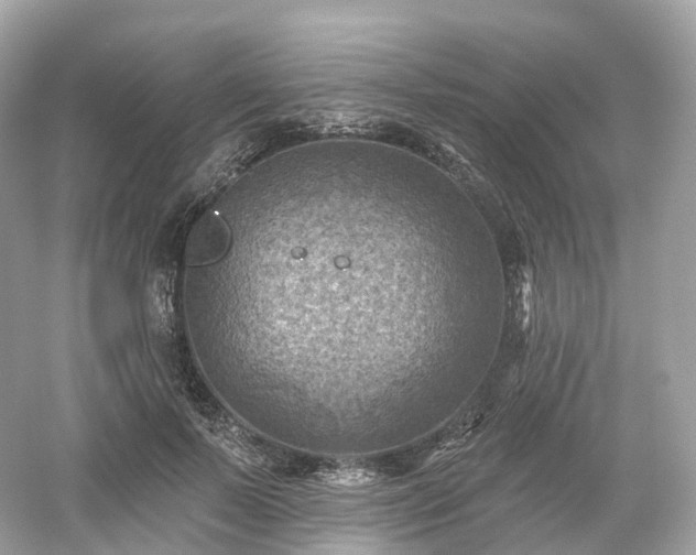 X0000054360695200508051529