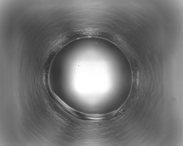 X0000054360696200508051529