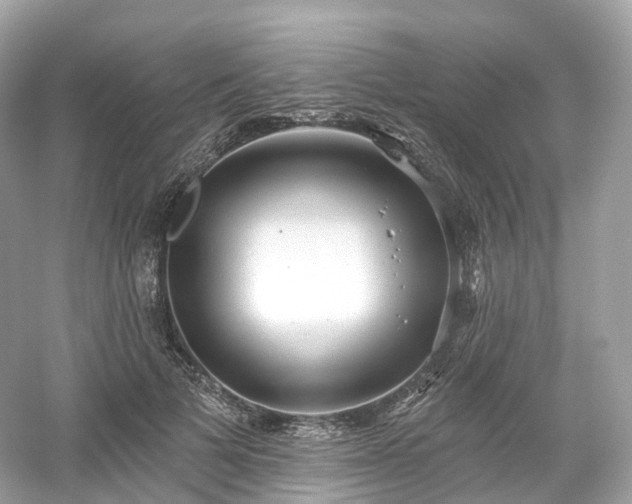 X0000054360697200508051529