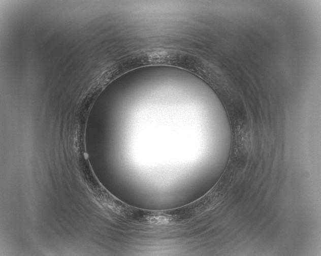 X0000054360698200508051529