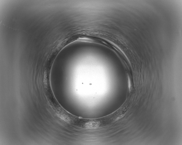 X0000054360700200508051529