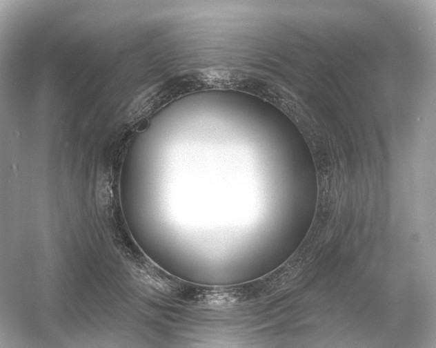 X0000054360702200508051529