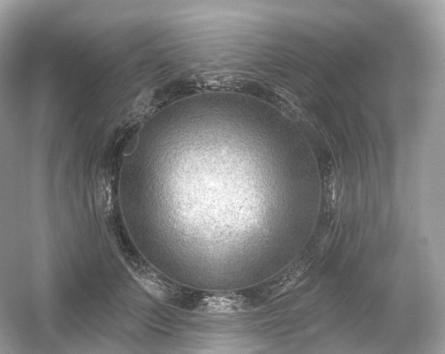 X0000054360703200508051529