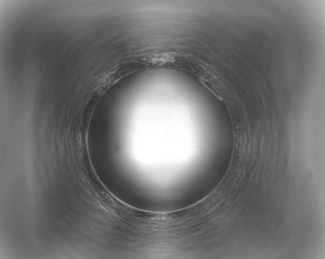 X0000054360704200508051529