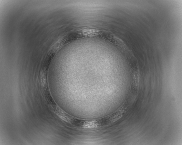 X0000054360705200508051529