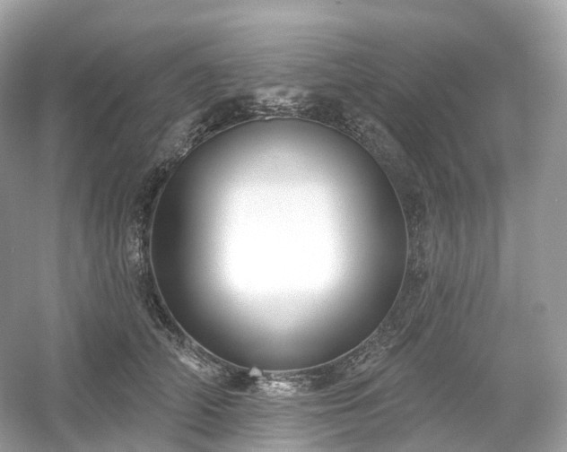 X0000054360706200508051529