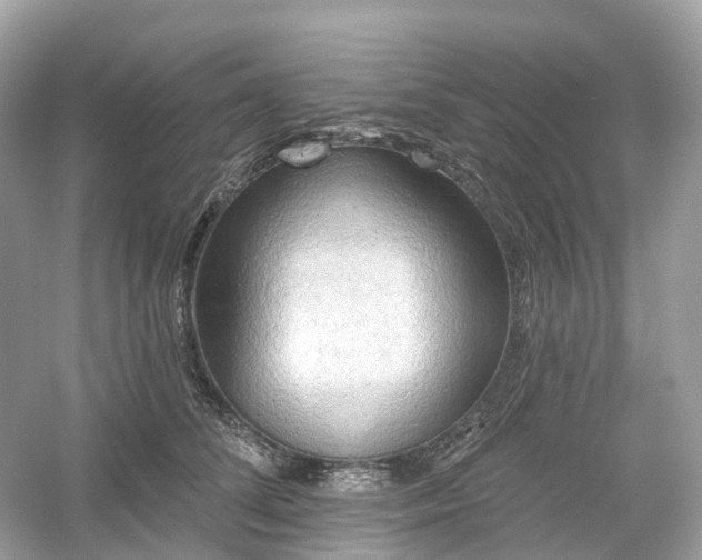 X0000054360708200508051529