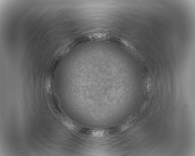 X0000054360709200508051529