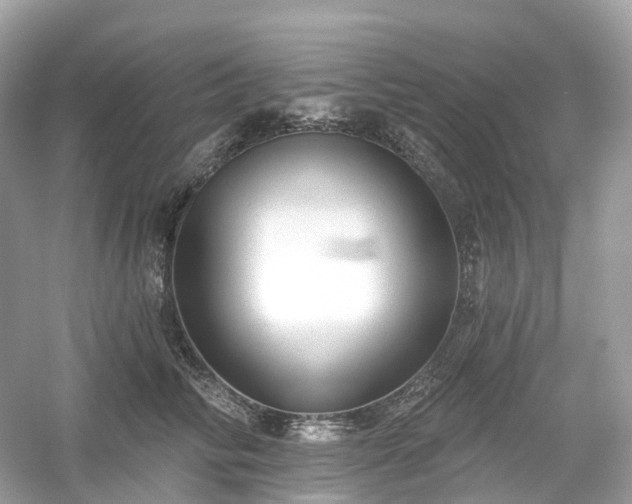 X0000054360710200508051529