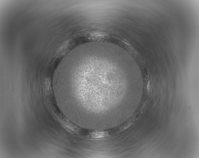 X0000054360711200508051529