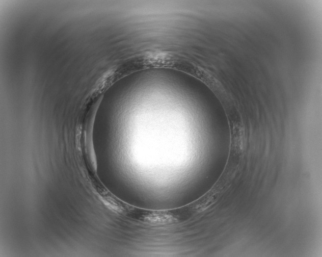 X0000054360712200508051529