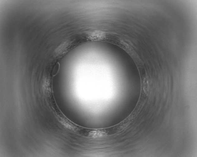 X0000054360714200508051529