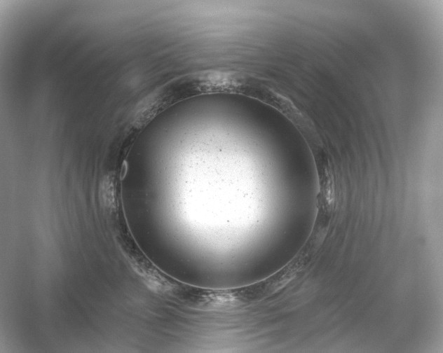 X0000054360715200508051529