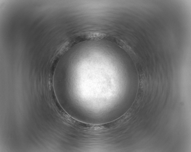 X0000054360716200508051529