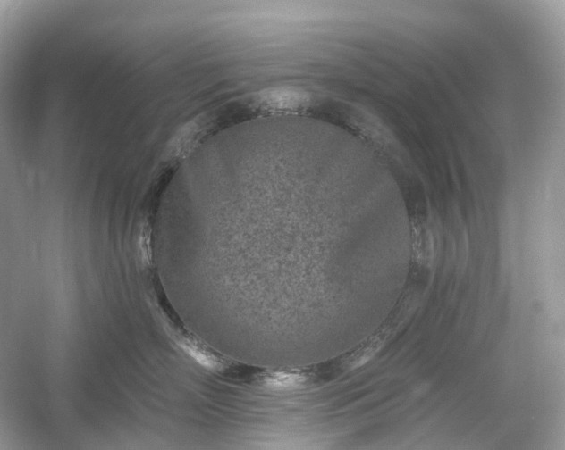 X0000054360718200508051529