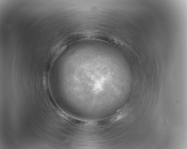 X0000054360720200508051529