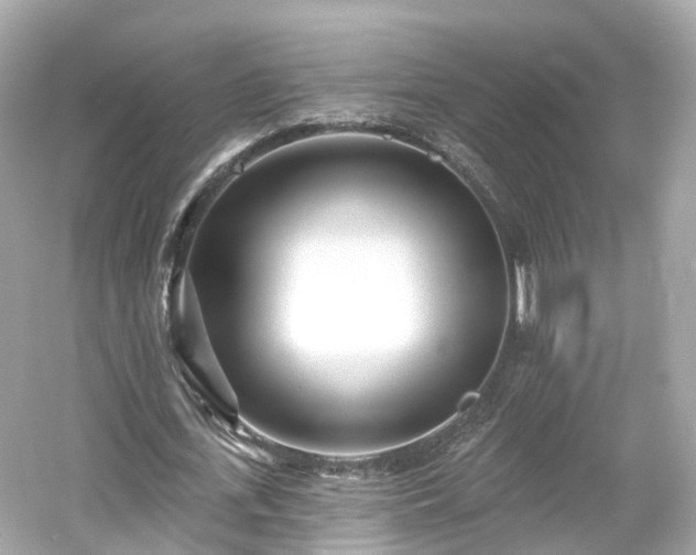 X0000054360723200508051528