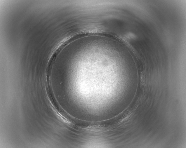 X0000054360725200508051528