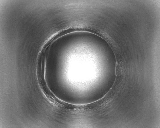 X0000054360728200508051528