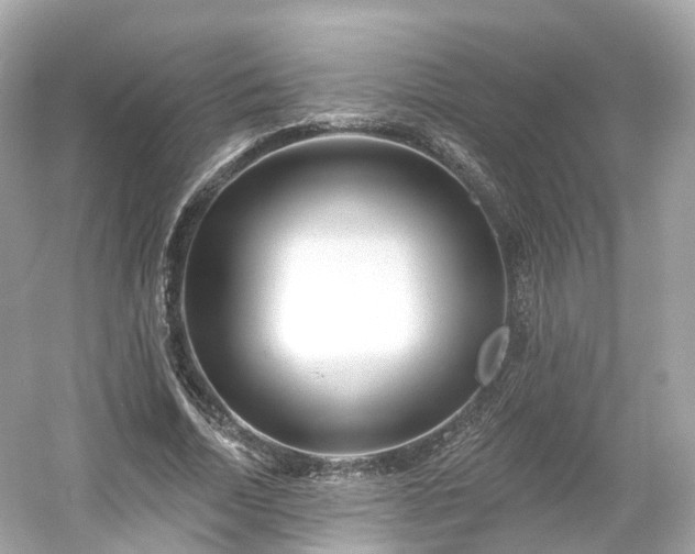 X0000054360730200508051528