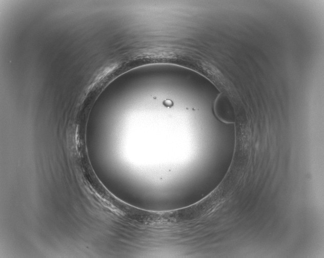 X0000054360731200508051528