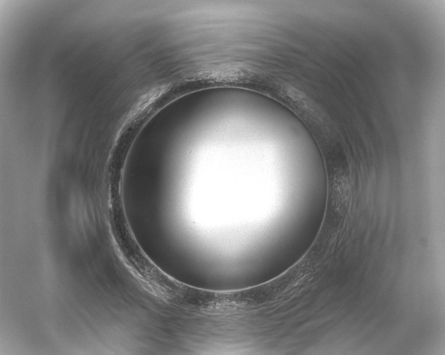 X0000054360734200508051528