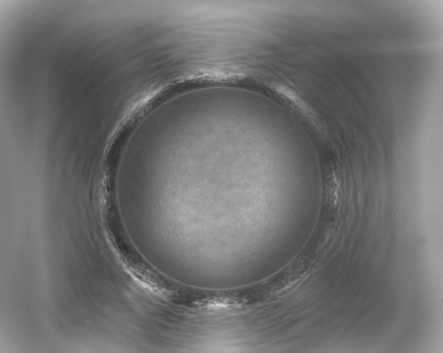 X0000054360736200508051528