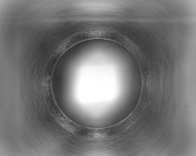 X0000054360737200508051528