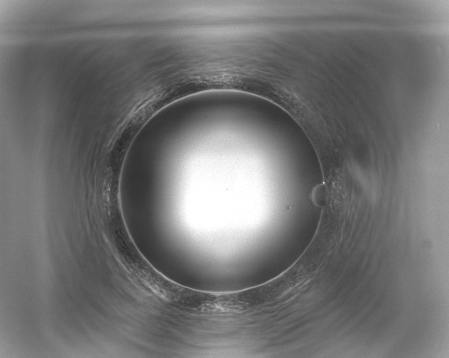 X0000054360739200508051528