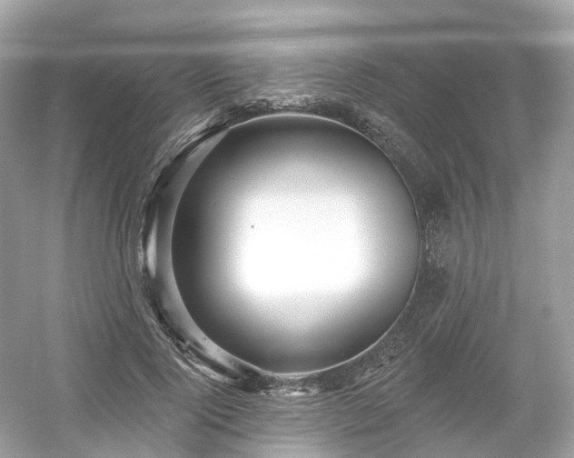 X0000054360740200508051528