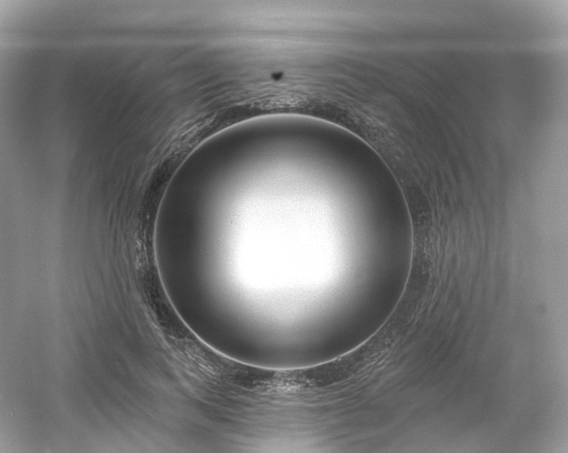 X0000054360743200508051528